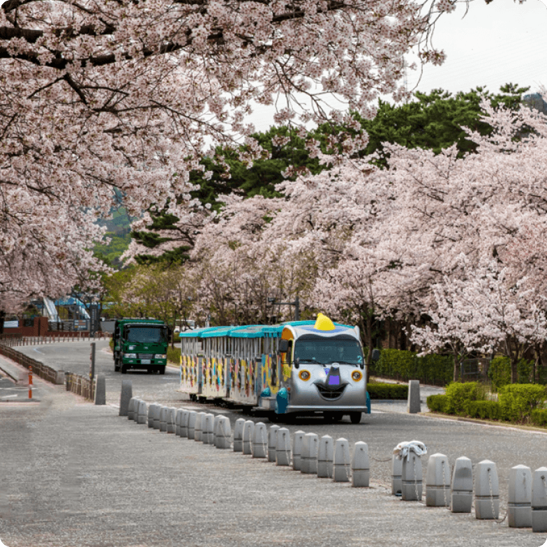 다양한 놀거리 02